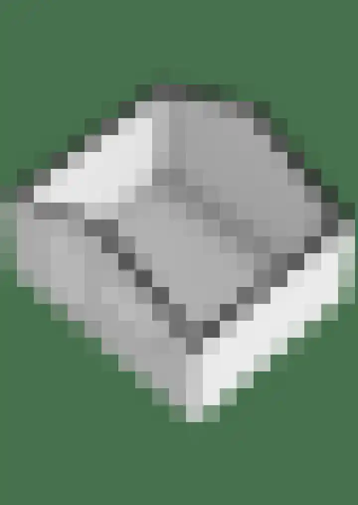 Boslaan 38 Balkbrug thumbnail 47