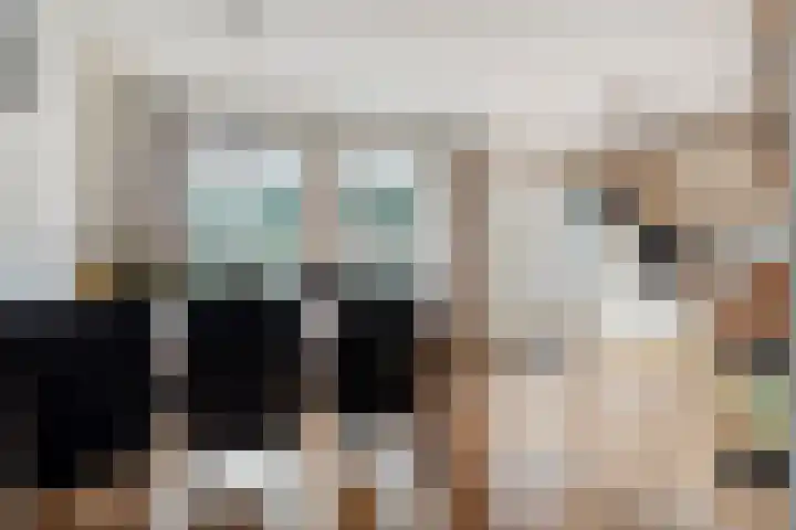 Boslaan 38 Balkbrug thumbnail 8