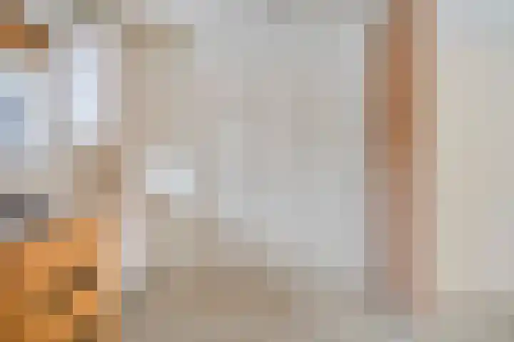 Boslaan 48 Appelscha thumbnail 17
