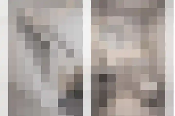 Boslaan 48 Appelscha thumbnail 25