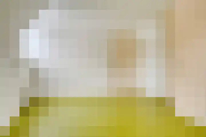 Boslaan 48 Appelscha thumbnail 36