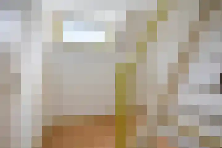 Boslaan 48 Appelscha thumbnail 39