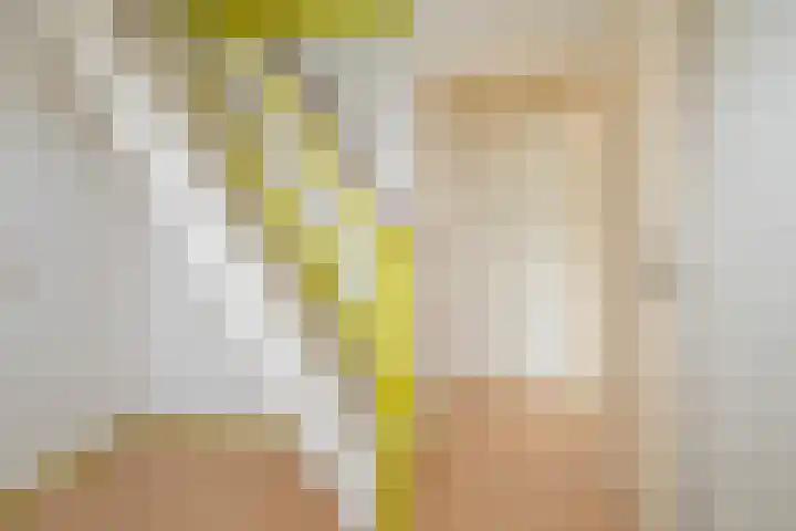 Boslaan 48 Appelscha thumbnail 40