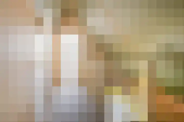 Boslaan 48 Appelscha thumbnail 42