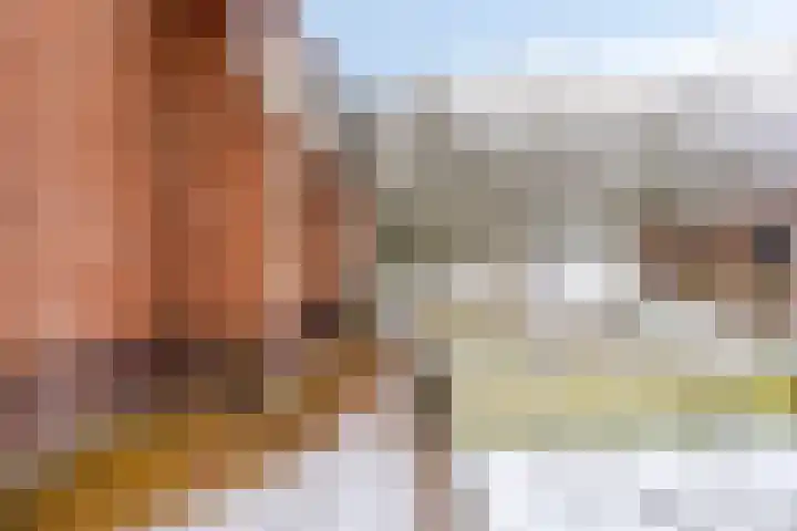 Boslaan 48 Appelscha thumbnail 46