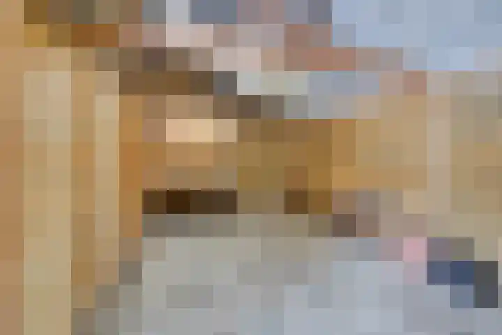 Boslaan 48 Appelscha thumbnail 50