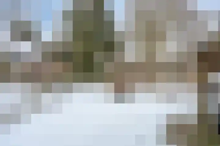 Boslaan 48 Appelscha thumbnail 54