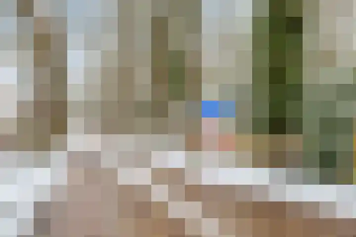 Boslaan 48 Appelscha thumbnail 63