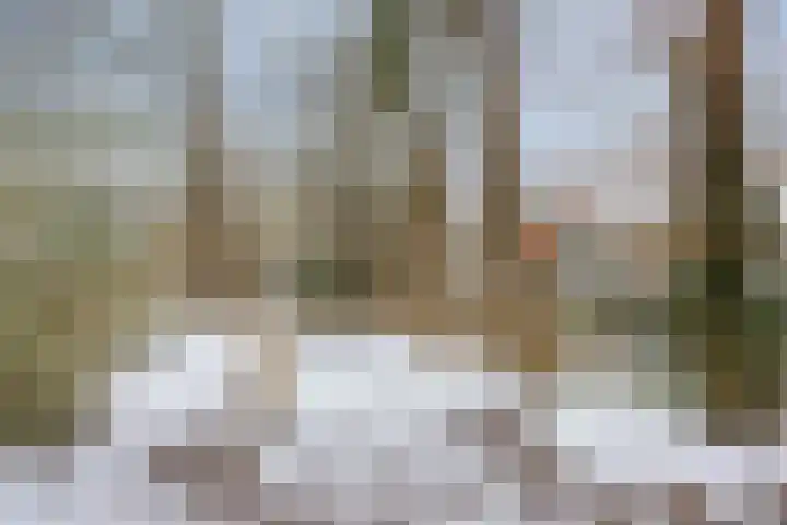 Boslaan 48 Appelscha thumbnail 65