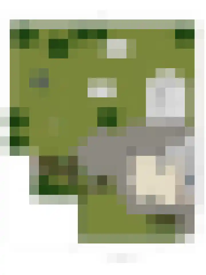 Boslaan 48 Appelscha thumbnail 67