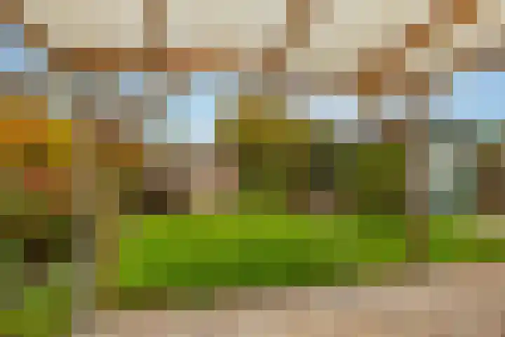 Boslaan 56 Zuidwolde thumbnail 46