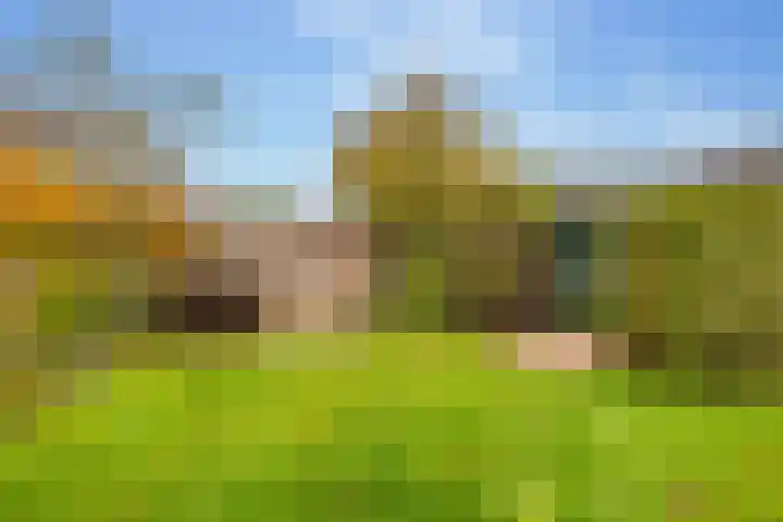 Boslaan 56 Zuidwolde thumbnail 48