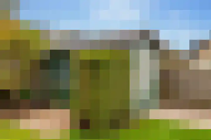 Boslaan 56 Zuidwolde thumbnail 50