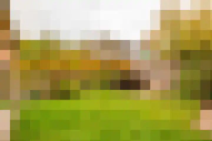 Boslaan 56 Zuidwolde thumbnail 51