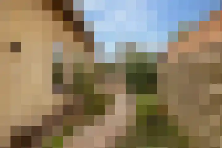 Boslaan 56 Zuidwolde thumbnail 57