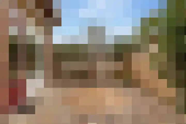 Boslaan 56 Zuidwolde thumbnail 58