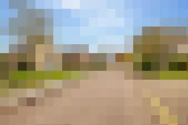 Boslaan 56 Zuidwolde thumbnail 64
