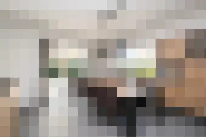 Boslaan 95 Dronten thumbnail 11