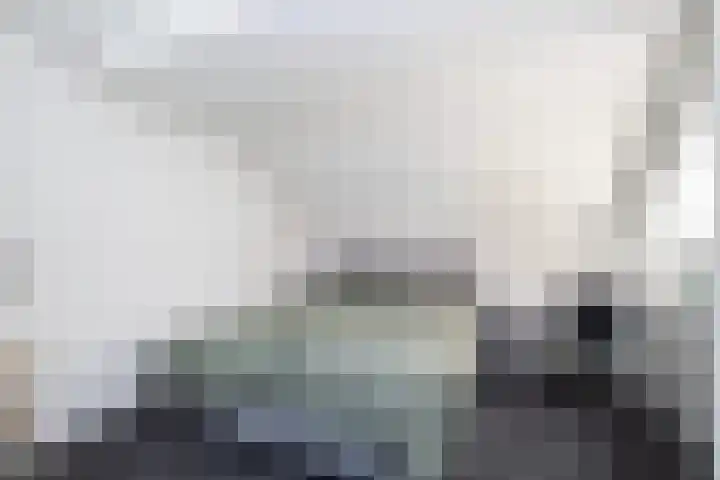 Boslaan 95 Dronten thumbnail 13