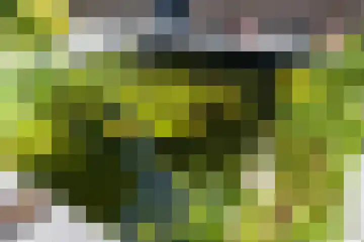 Boslaan 95 Dronten thumbnail 20