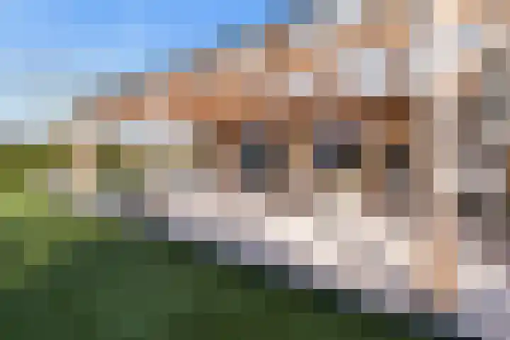 Boslaan 95 Dronten thumbnail 28
