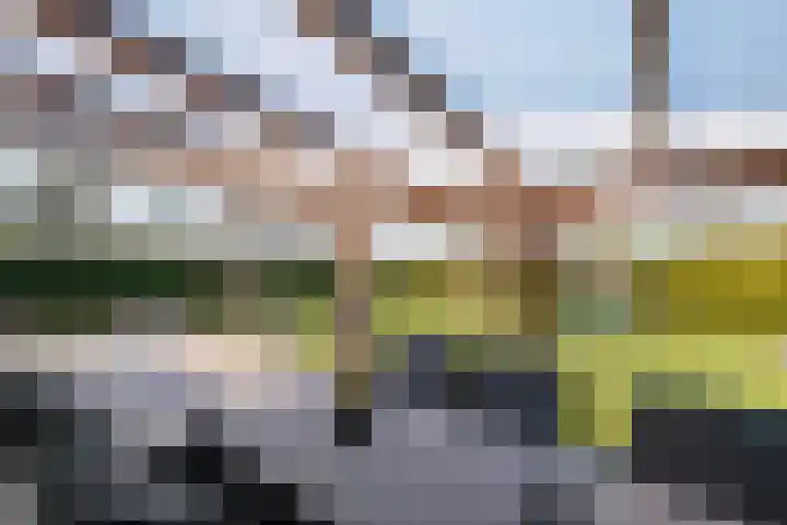 Boslaan 95 Dronten thumbnail 32