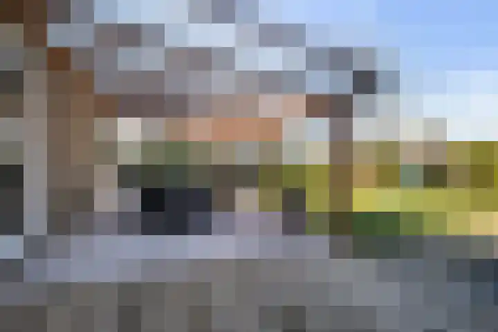 Boslaan 95 Dronten thumbnail 33