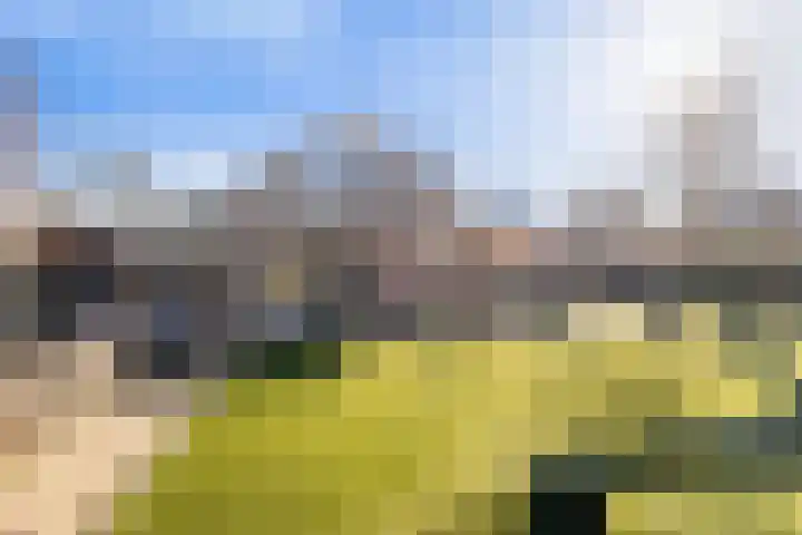 Boslaan 95 Dronten thumbnail 35