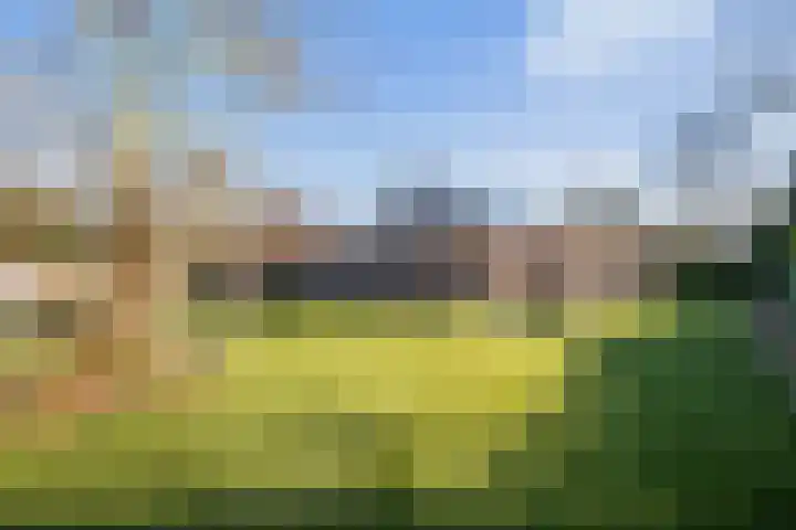 Boslaan 95 Dronten thumbnail 36