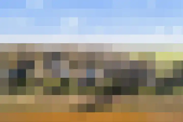 Boslaan 95 Dronten thumbnail 37