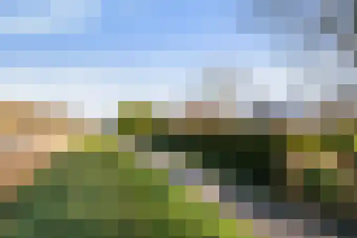 Boslaan 95 Dronten thumbnail 38