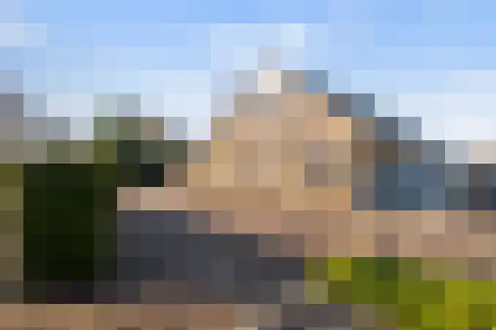 Boslaan 95 Dronten thumbnail 39