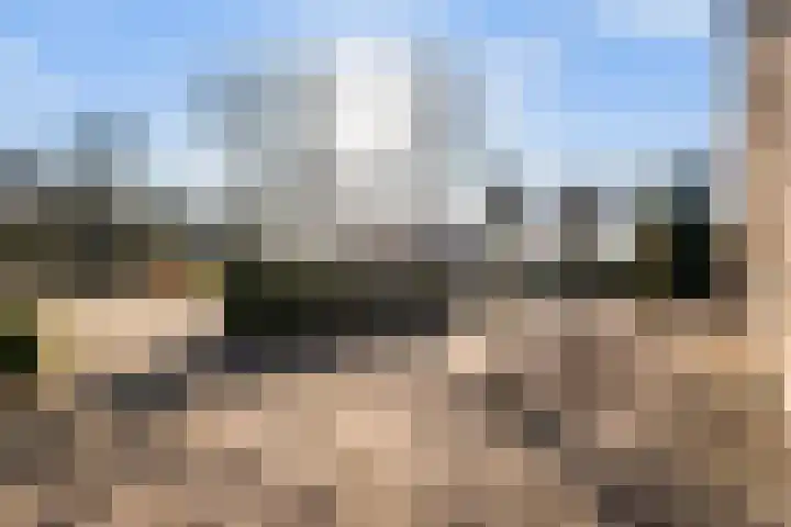 Boslaan 95 Dronten thumbnail 41