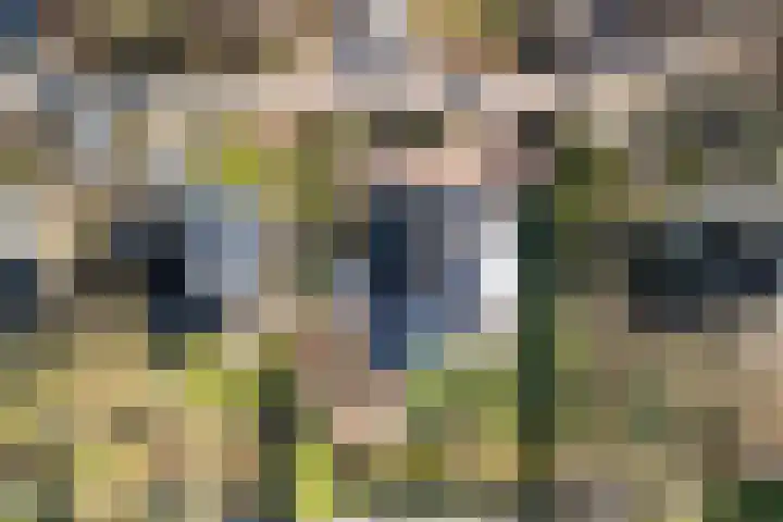 Boslaan 95 Dronten thumbnail 44