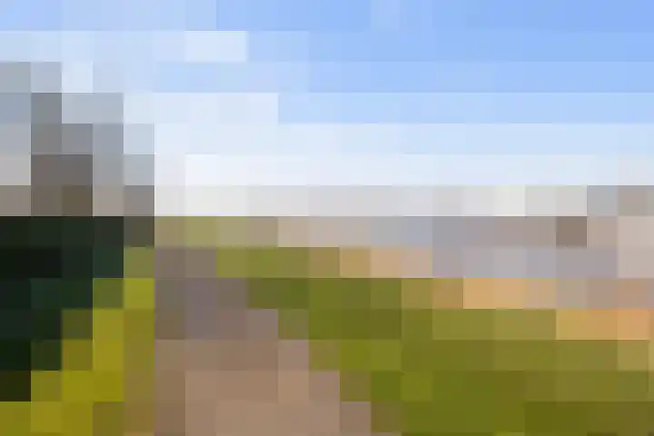 Boslaan 95 Dronten thumbnail 46