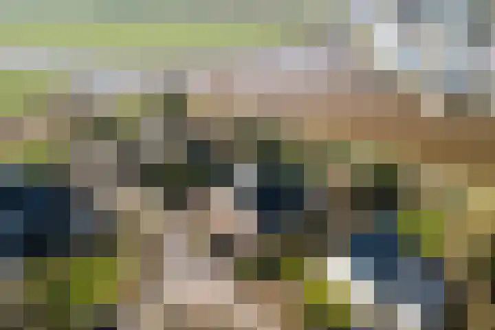 Boslaan 95 Dronten thumbnail 5