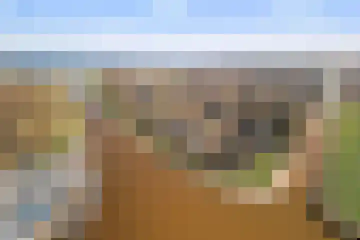 Boslaan 95 Dronten thumbnail 6