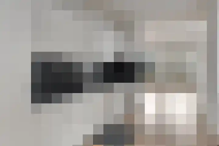 Boslandwerf 15 Rotterdam thumbnail 18