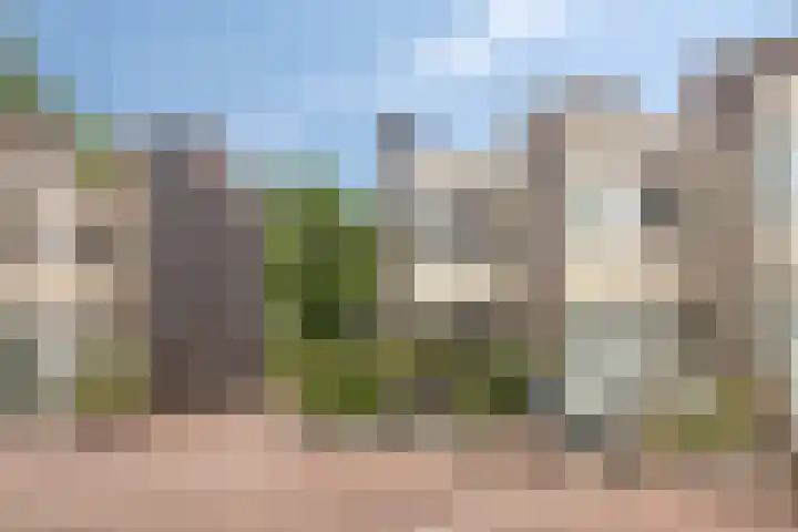 Bosleeuwerik 2 Eindhoven thumbnail 10
