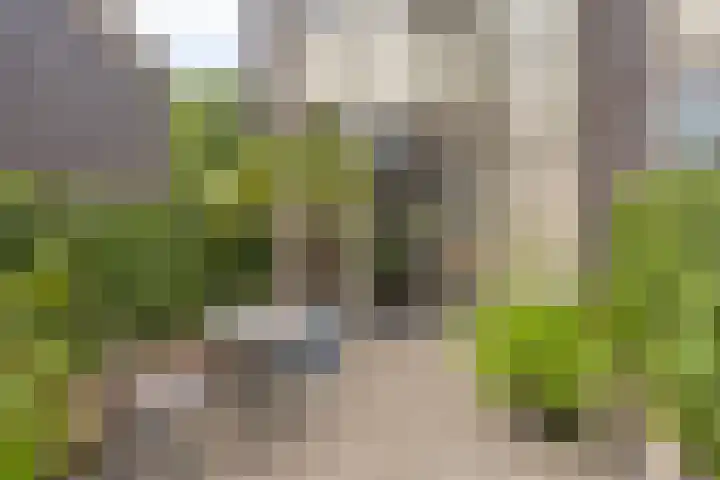 Bosleeuwerik 2 Eindhoven thumbnail 13