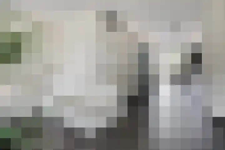 Bosleeuwerik 2 Eindhoven thumbnail 19