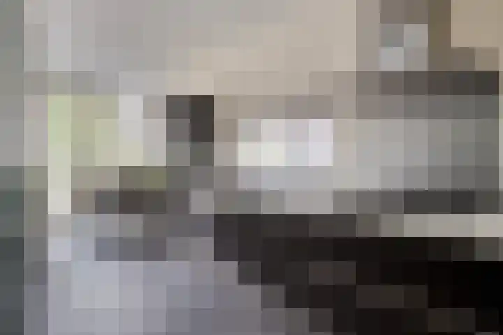 Bosleeuwerik 2 Eindhoven thumbnail 20