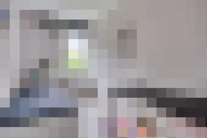 Bosleeuwerik 2 Eindhoven thumbnail 25