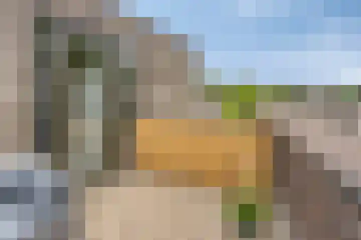 Bosleeuwerik 2 Eindhoven thumbnail 39