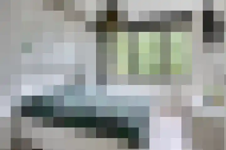 Bosleeuwerik 2 Eindhoven thumbnail 4