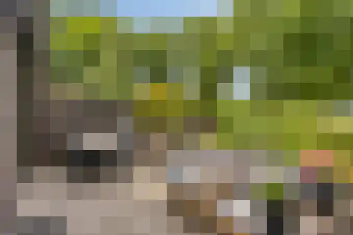Bosleeuwerik 2 Eindhoven thumbnail 47