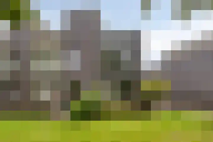Bosleeuwerik 2 Eindhoven thumbnail 50