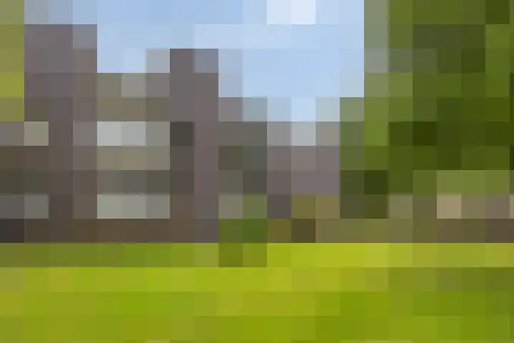 Bosleeuwerik 2 Eindhoven thumbnail 51