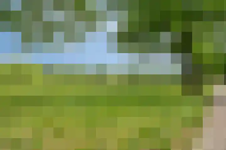 Bosleeuwerik 2 Eindhoven thumbnail 55