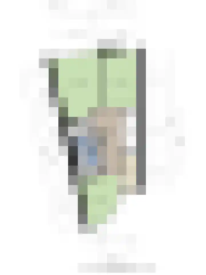 Bosleeuwerik 2 Eindhoven thumbnail 59